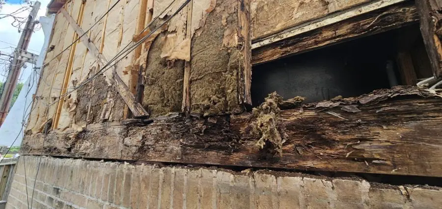 Estructura de la pared exterior podrida y dañada, expuesta tras retirar el revestimiento de una casa en Texas.