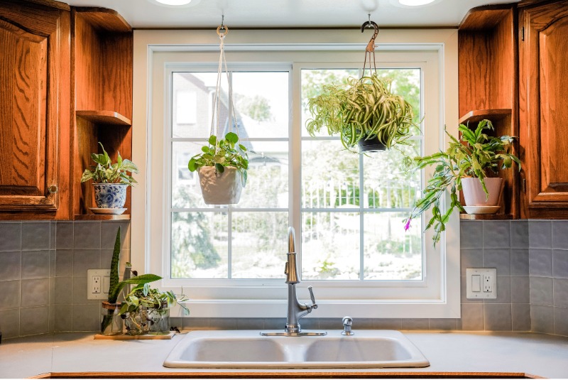 White slider window with grids over a kitchen sink with hanging plants